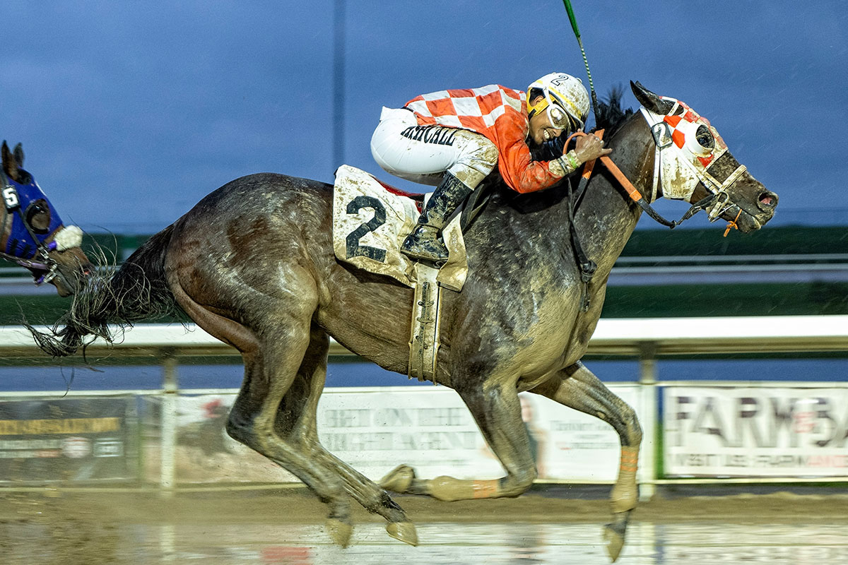Rainbow's Pride and Richard Balgobin at the muddy finish line of the Spangled Jimmy Handicap on Saturday at Century Mile Racetrack