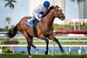 HEART TO HEART, #3, ridden by Julien Leparoux, wins the 51st running of the Canadian Turf (Grade III) at Gulfstream Park Race Course on March 4, 2017 in Hallandale Beach, Florida.