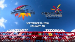 Alberta Breeders&#039; Fall Classic at Century Downs (video)