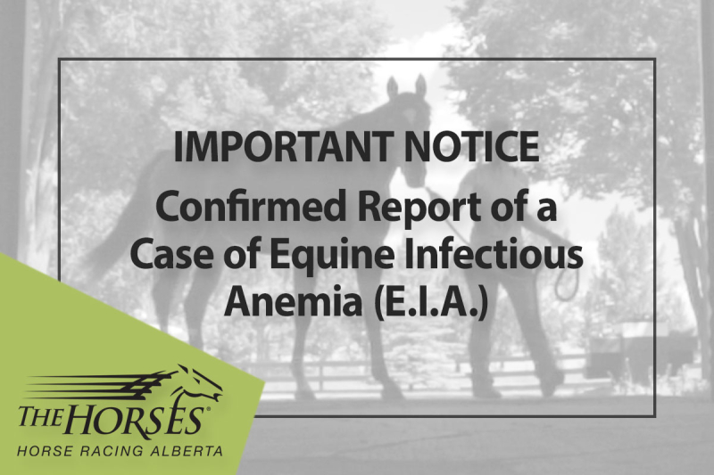 Important Notice: Confirmed Report of a Case of Equine Infectious Anemia (E.I.A.) (August 29)