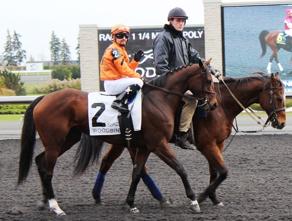 It’s All Academic – Toasting the Top Three-Year-Old Filly (update)