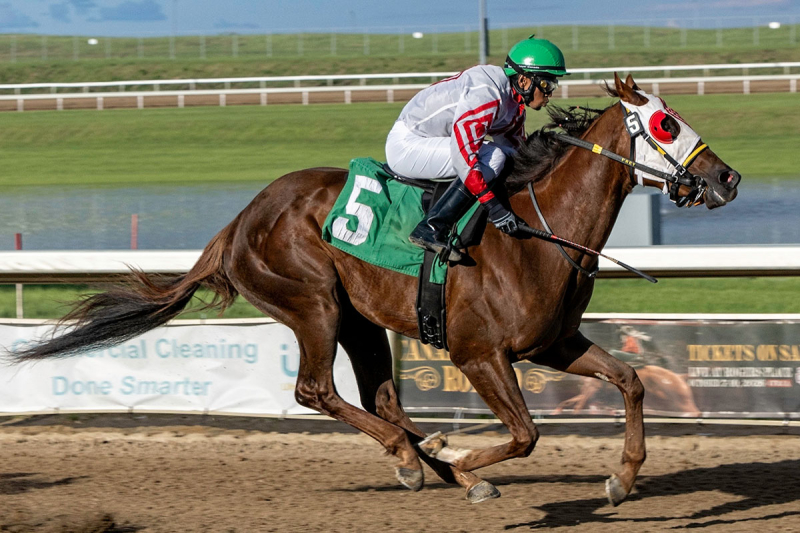 Undefeated Javier Emerges as Canadian Derby Contender
