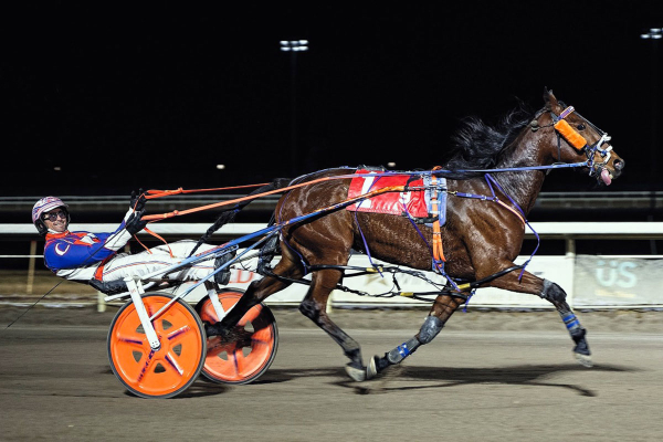 $90.80 to Win — Imashipwreck Blows Up the Board in Biggest Super Finals Upset Ever