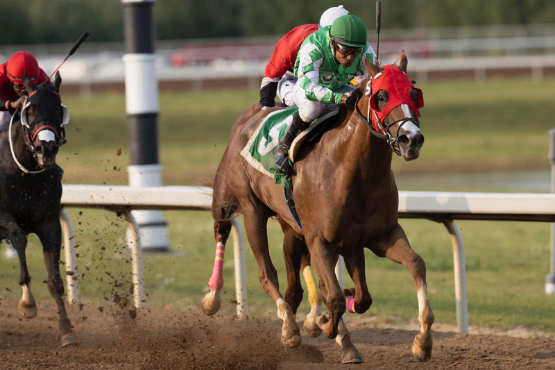 Bon Prix in the stretch at Century Mile