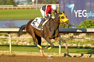 Queen Astrid in the stretch run at Century Mile Racetrack (Alexander Marti up)
