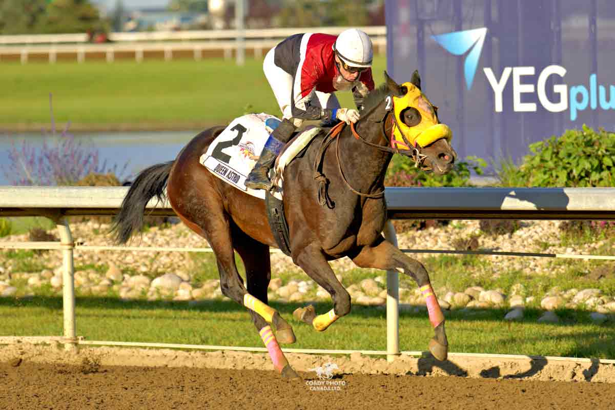 Queen Astrid in the stretch run at Century Mile Racetrack