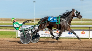 Kneedeep N Custard in the Western Canada Pacing Derby at Century Mile in September 2019