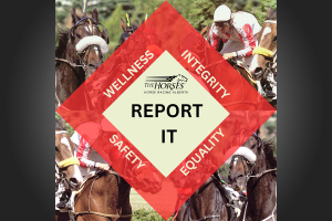 HRA introduces 'ReportIt'