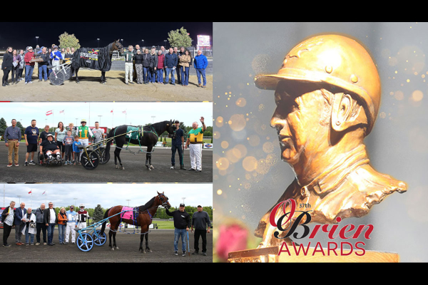 O'Briens Profiles: O'Brien Award Of Horsemanship