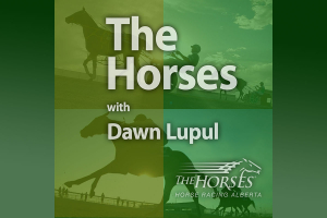 The Horses with Dawn Lupul Podcast - Episode #2