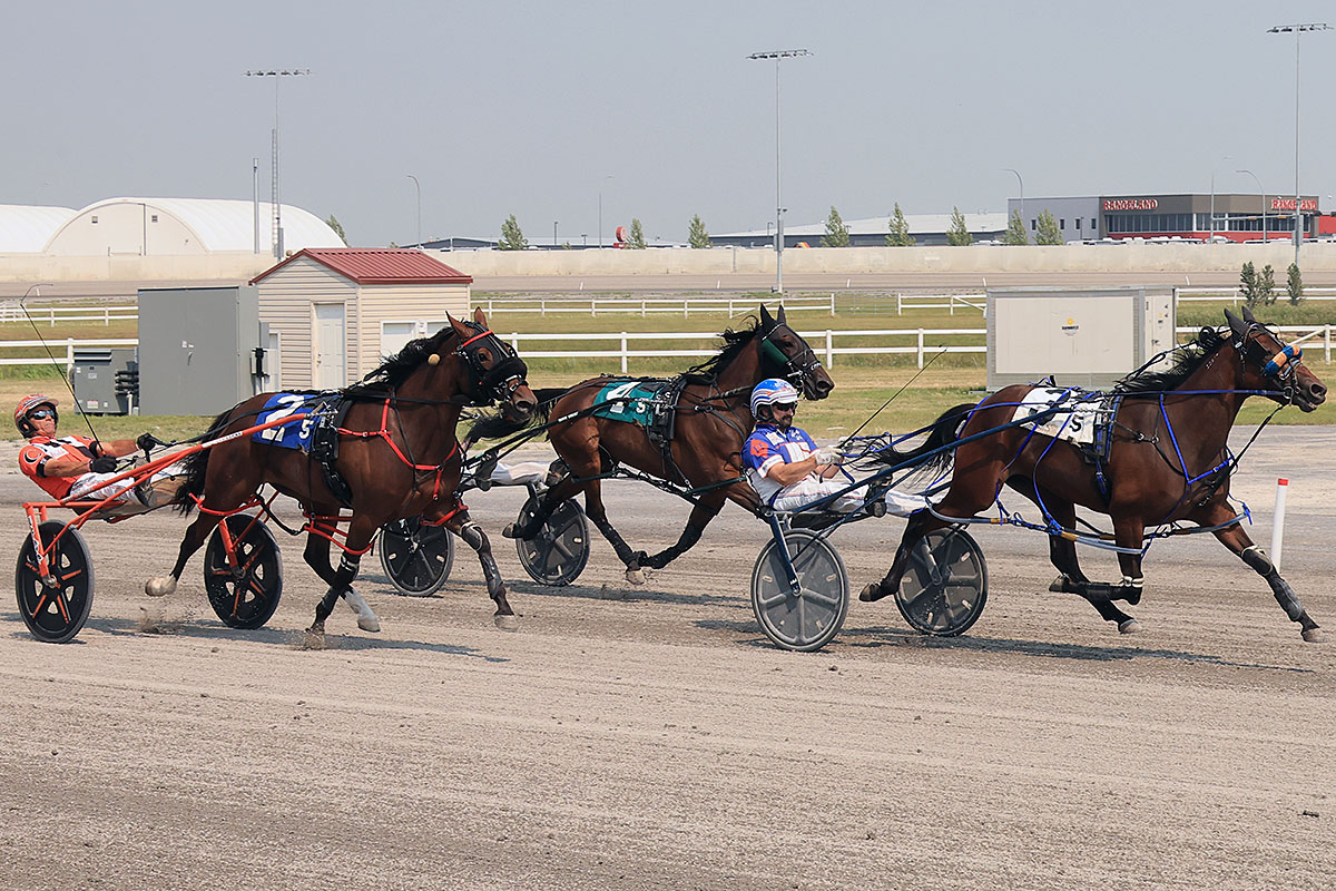 Mike Hennessy and Terrible Custard leading in the stretch drive of the Rumpel second elimination 
