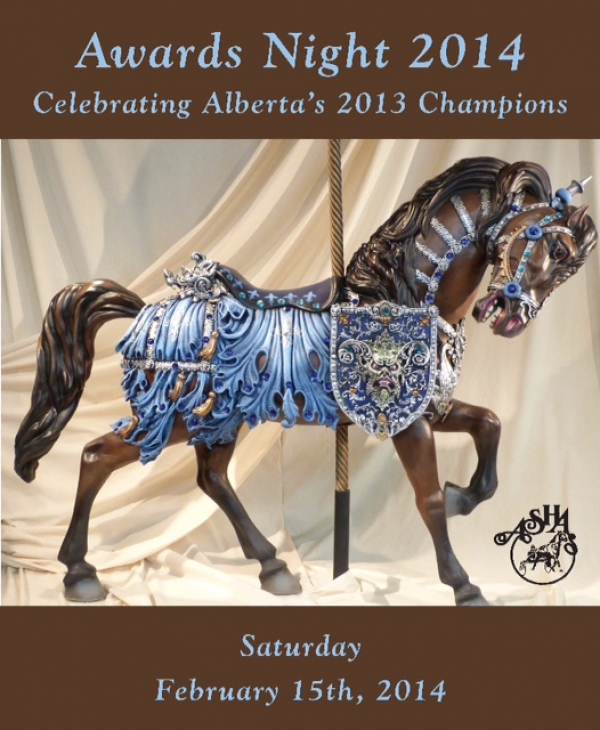 ASHA Awards Night 2014