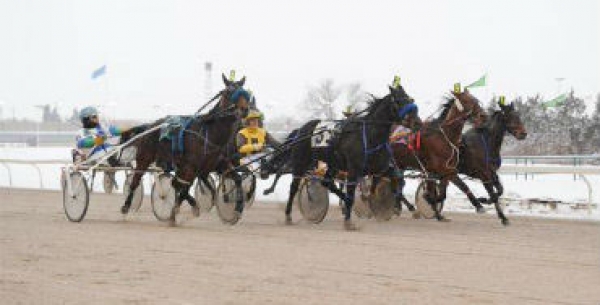 Alberta Award Finalists Announced